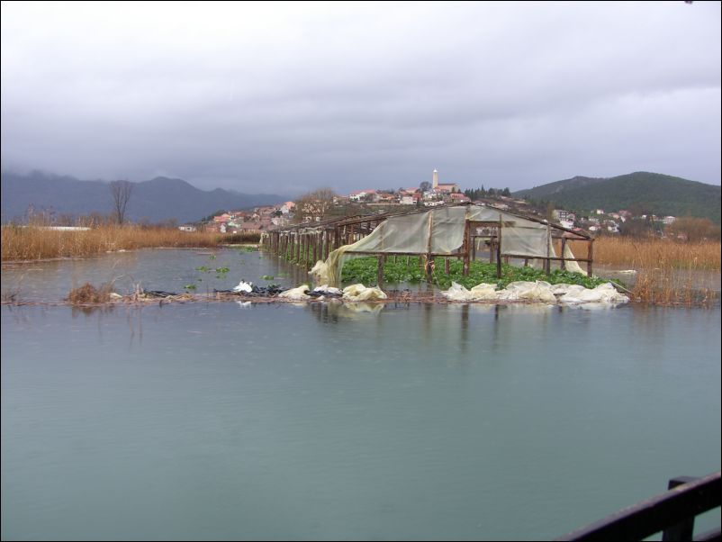 Poplava_u_Vidu_ (55)